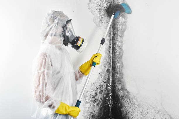 Best Airborne Mold Testing  in New Hope, OR
