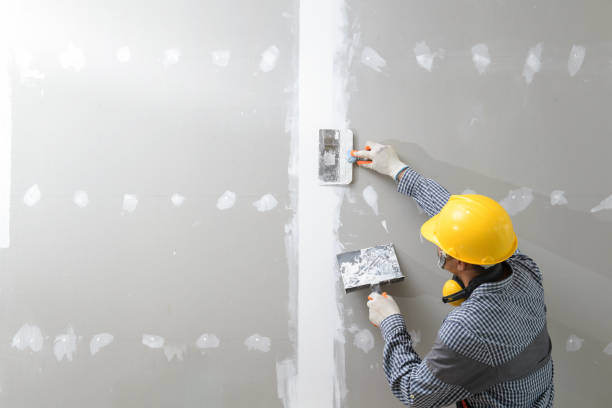 Best Environmental Consulting for Mold Prevention  in New Hope, OR