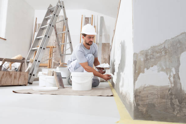Best Post-Construction Mold Inspection  in New Hope, OR