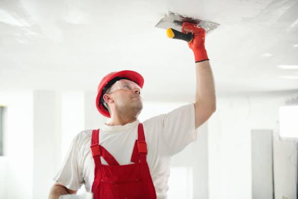 Trusted New Hope, OR Mold Removal Experts