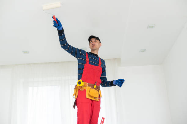 Best Black Mold Removal  in New Hope, OR