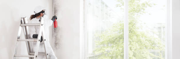 Best Industrial Mold Remediation  in New Hope, OR